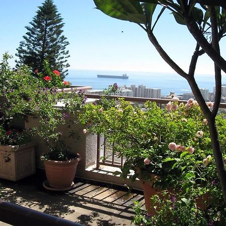 123 Ocean View Drive Apartment Fokváros Kültér fotó