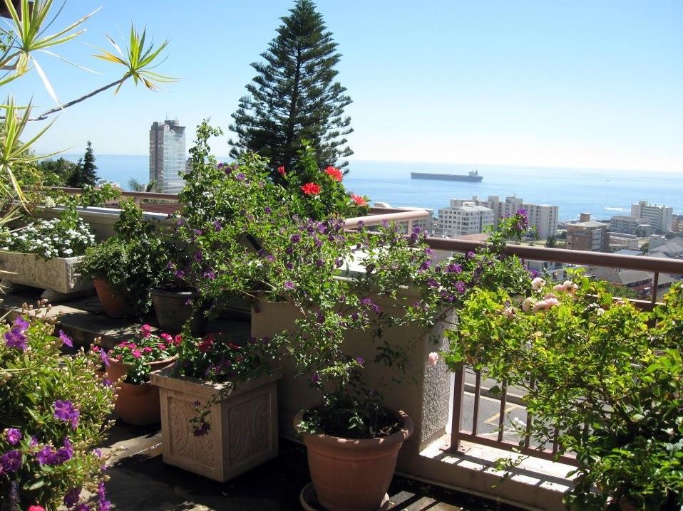 123 Ocean View Drive Apartment Fokváros Kültér fotó
