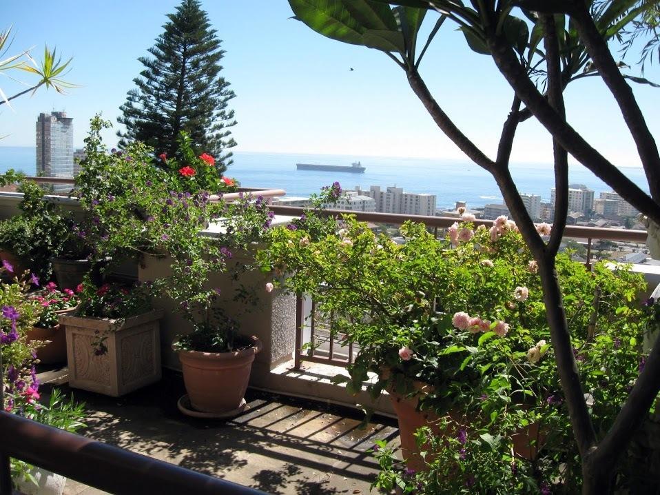 123 Ocean View Drive Apartment Fokváros Kültér fotó